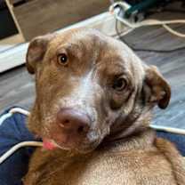 Thumbnail photo of Valerie #1