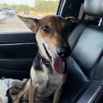 Thumbnail photo of Flaco #4