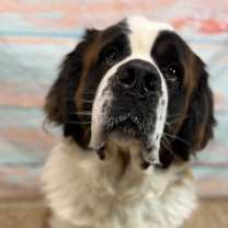 Thumbnail photo of Ember  #1