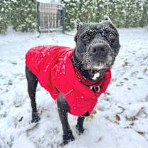 Thumbnail photo of Montecarlo #1