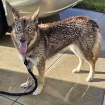 Thumbnail photo of Dora #1