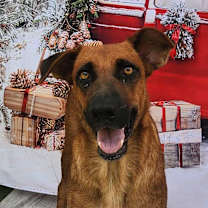 Thumbnail photo of Zola JuM #1