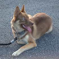 Thumbnail photo of Dora #3