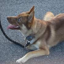 Thumbnail photo of Dora #4