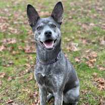 Thumbnail photo of Thelma #1