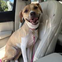 Thumbnail photo of Penny #1