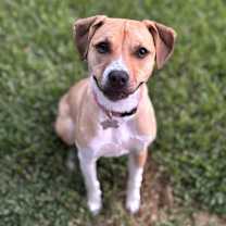 Thumbnail photo of Penny #2