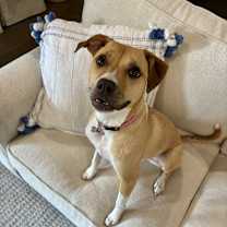 Thumbnail photo of Penny #3