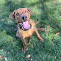 Thumbnail photo of Hunter #4