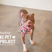 Thumbnail photo of Nadine #2