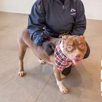 Thumbnail photo of Nadine #3