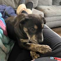 Thumbnail photo of Dora #4