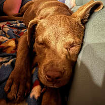 Thumbnail photo of Sally #2