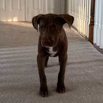 Thumbnail photo of Sally #3