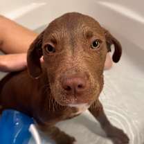 Thumbnail photo of Sally #4