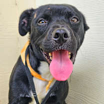 Thumbnail photo of Ian JuM #2