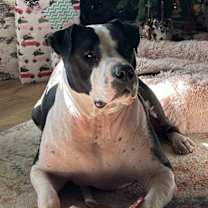 Thumbnail photo of Rain #1