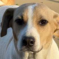 Thumbnail photo of Malcom #4