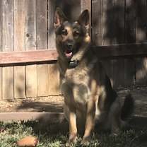 Thumbnail photo of Bentley #4