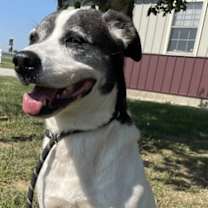 Thumbnail photo of Darla #1