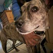 Thumbnail photo of Pablo #2