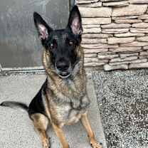 Thumbnail photo of Blue #4