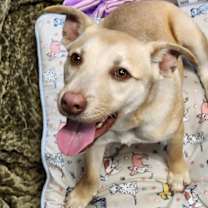 Thumbnail photo of Nathan #1