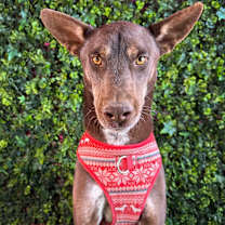 Thumbnail photo of Adam #4