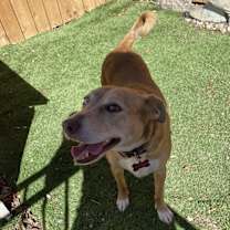 Thumbnail photo of Malinali #2