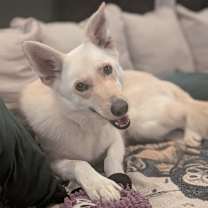 Thumbnail photo of Lilly #4