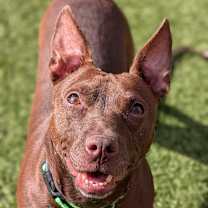 Thumbnail photo of Tammi #4