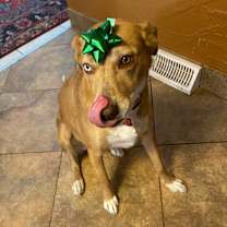 Thumbnail photo of Malinali #4