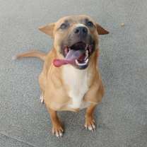 Thumbnail photo of Kali #1