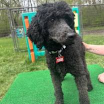 Thumbnail photo of Blair #2