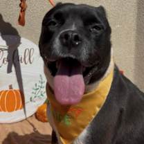 Thumbnail photo of Lil' Luna #3