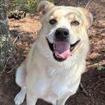 Thumbnail photo of Cowboy #1