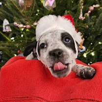 Thumbnail photo of Mia #3