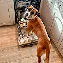 Thumbnail photo of Little Man #1