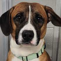 Thumbnail photo of Little Man #3