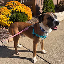 Thumbnail photo of Little Man #4