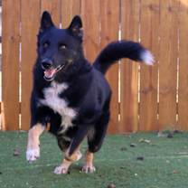 Thumbnail photo of Boeing JuM #1