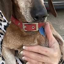 Thumbnail photo of Beanie #1