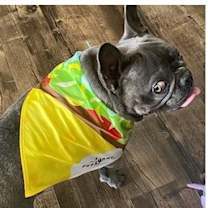 Thumbnail photo of Levi #1