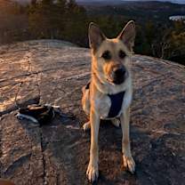 Thumbnail photo of Ruger #3