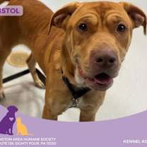 Thumbnail photo of Bristol #2