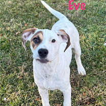 Thumbnail photo of Eve #3