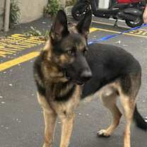 Thumbnail photo of Rex2 3144 #1