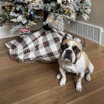 Thumbnail photo of Papi #2