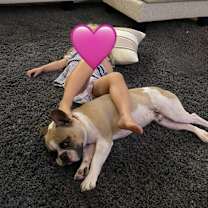 Thumbnail photo of Papi #4