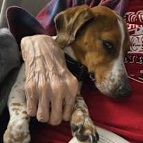 Thumbnail photo of Salami #4